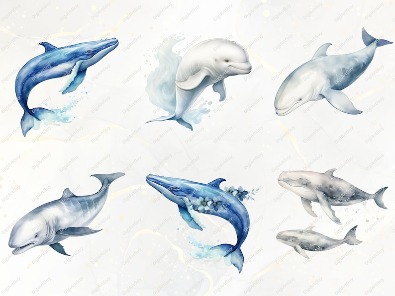May include: Watercolor illustration of eight different types of whales, including a blue whale, a humpback whale, a beluga whale, and a gray whale. The whales are all depicted in a realistic style, with detailed features and vibrant colors.
