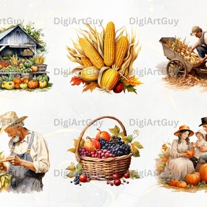 Pode incluir: Uma cole&ccedil;&atilde;o de ilustra&ccedil;&otilde;es de colheita de outono com uma variedade de frutas e vegetais, incluindo milho, ab&oacute;boras, ma&ccedil;&atilde;s, uvas e peras. As ilustra&ccedil;&otilde;es s&atilde;o pintadas em um estilo realista com cores vibrantes.