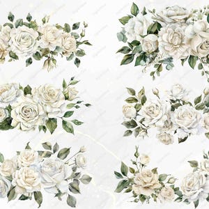 White Roses Clipart Watercolor Roses PNG White Floral Clipart Wedding ...