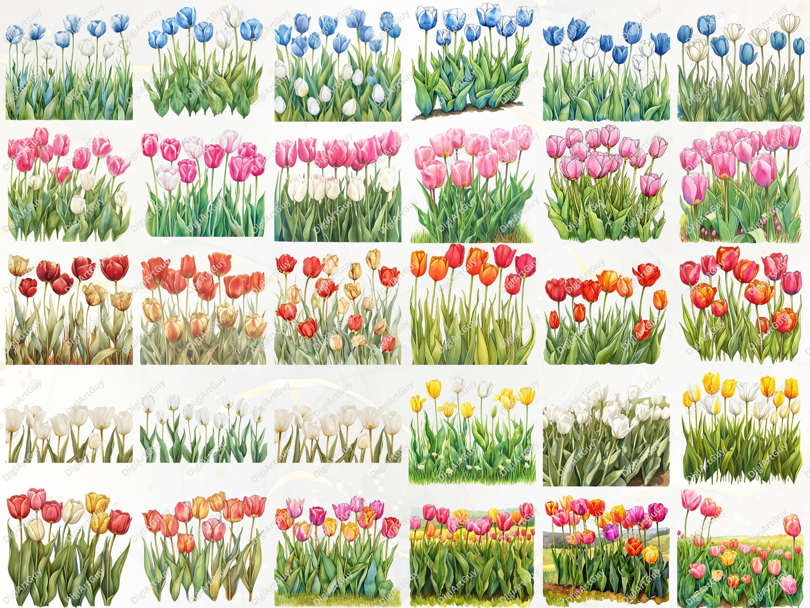 Tulip Clipart Watercolor Flower Clipart Spring PNG Floral Clipart Wild ...