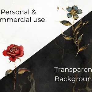 personal and commercial use and transparent background description