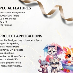 special features and project applications