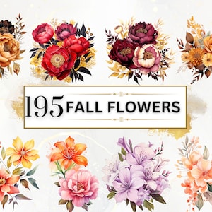Pacote de flores de outono - 195 clipart de flores de outono PNGs, clipart de flores em aquarela, pacote de clipart de aquarela de outono, flores silvestres PNG