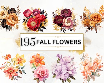Fall Flower Bundle - 195 Autumn Flower Clipart PNGs, Watercolor Flowers Clipart, Fall Watercolor Clipart Bundle, Wild Flower PNG