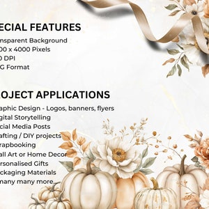 Description of special features of the images: transparent background, 4k pixels square, 10.6 x 10.6 inches. 300 DPI and PNG format.Project applications include graphic design, crafting, scrapbooking,personalised gifts and many more