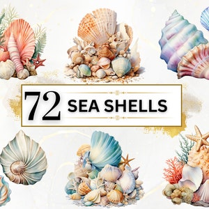 Muschel Clipart - 72 Muscheln PNG, Unter dem Meer PNG Strandmuschel, Nautische Clipart Meeresbewohner PNG Meerleben Junk Journal, kommerzielle Nutzung