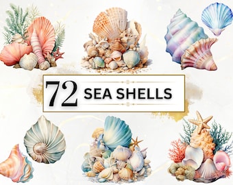 Seashell Clipart - 72 Seashells PNG, Under The Sea PNG Beach Shell, Nautical Clipart Sea Creature PNG Sea Life Junk Journal, Commercial Use