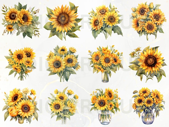 Watercolor Sunflowers Clipart - Fall sunflower floral bouquets, PNG format, instant download for commercial use, transparent, no background