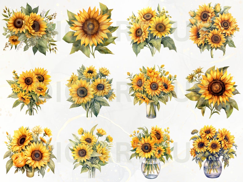 K&ouml;nnte beinhalten: Eine Sammlung von 12 Aquarell-Illustrationen von Sonnenblumen in verschiedenen Arrangements. Die Sonnenblumen sind gelb mit braunen Zentren und gr&uuml;nen Bl&auml;ttern. Einige der Sonnenblumen stehen in Vasen, w&auml;hrend andere in Str&auml;u&szlig;en sind.