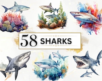 Shark Clipart - 58 Sharks Clipart, Baby Shark PNG, Cute Shark PNG, Cute Sea Animals Clipart, Sealife Clipart, Underwater PNG, Commercial Use