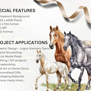 Description of special features of the images: transparent background, 4k pixels square, 10.6 x 10.6 inches. 300 DPI and PNG format.Project applications include graphic design, crafting, scrapbooking,personalised gifts and many more