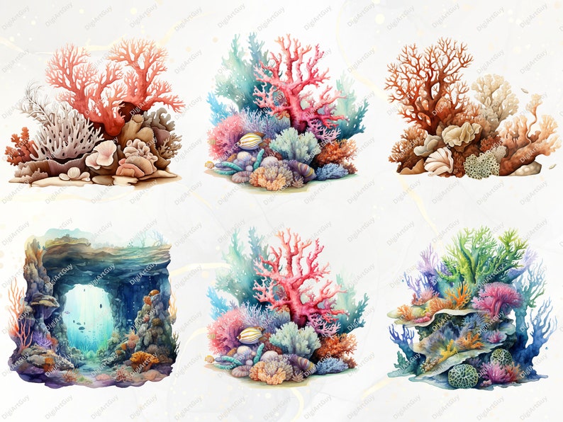 6 images from the bundle shown