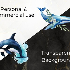 May include: Watercolor illustration of a blue whale with white flowers and green leaves, and a black and white orca jumping out of the water. The background is a black and white marble pattern with the text "Transparent Background" in white.