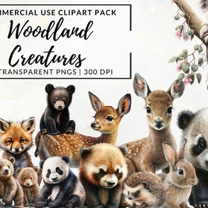 Waldtiere Clipart, Aquarell Tiere, Clipart zum Ausdrucken, Baby Tier, Babyparty, Wald, Kommerzielle Nutzung, Transparent, PNG