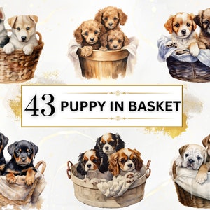 Clipart chien - 43 chiens Clipart PNG, chiot dans le panier PNG, clipart chiot, chien Png, dessins de Sublimation chien, chiens mignons Clipart PNG, amoureux des chiens