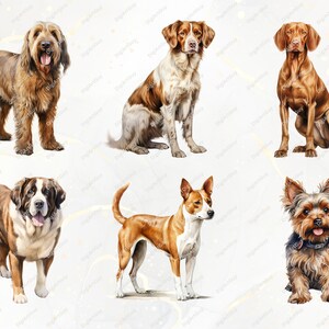 Dog Clipart Bundle - 190 Watercolor Dogs Clipart PNG, Dog Breeds PNG ...