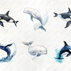 May include: Watercolor illustration of six different types of marine mammals: a humpback whale, a beluga whale, a dolphin, and three orcas. The orcas are in different poses, including jumping out of the water and swimming.