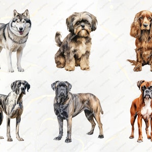 Dog Clipart Bundle - 190 Watercolor Dogs Clipart PNG, Dog Breeds PNG ...
