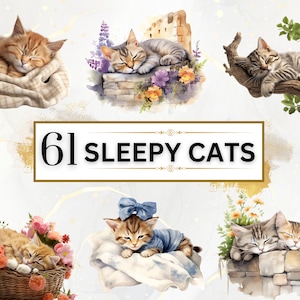Paquete PNG de gatos soñolientos - 61 gatos clipart PNGs, imágenes prediseñadas de gatos, imágenes prediseñadas de animales, gatos de acuarela, animales de acuarela, descarga digital instantánea
