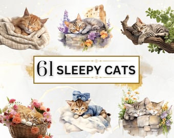 Sleepy Cats PNG Bundle - 61 Cats Clipart PNGs, Cats Clipart, Animals Clipart, Watercolor Cats, Watercolor Animals, Instant Digital Download