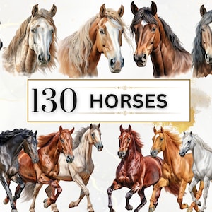 Paard clipart aquarel paarden PNG boerderij dieren clipart boerderij paard PNG westerse clipart paard sublimatie ontwerpen | Gratis commercieel gebruik