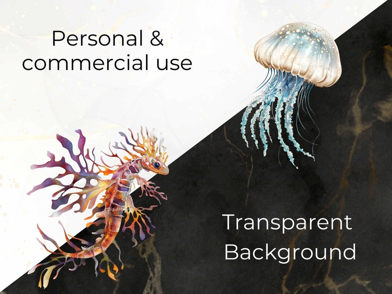 personal and commercial use and transparent background description