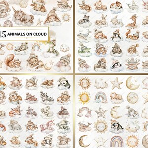 Shows examples from the bundles