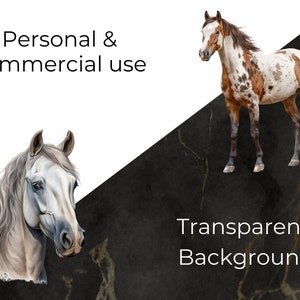 personal and commercial use and transparent background description