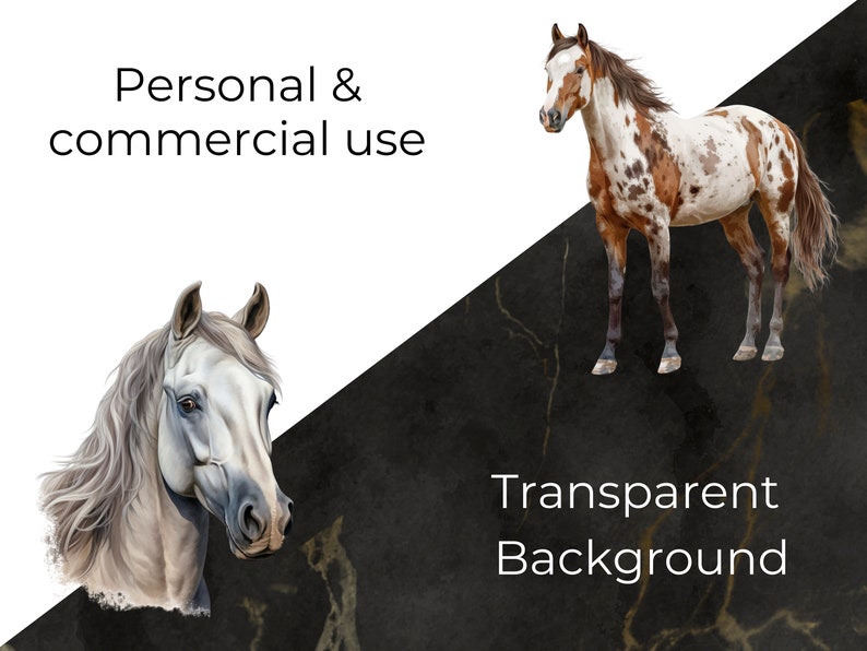 personal and commercial use and transparent background description