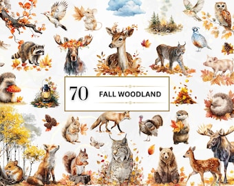 Fall Woodland PNG Watercolor Woodland Animal Clipart Fall PNG  Autumn Woodland Animal Clipart Woodland Animals PNG  Forest Animal Clipart