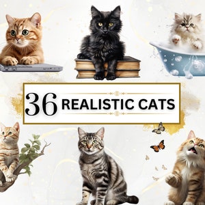 Ultra réaliste chats PNG Bundle - 36 chats Clipart PNGs, clipart chats, clipart animaux, aquarelles animaux, téléchargement immédiat