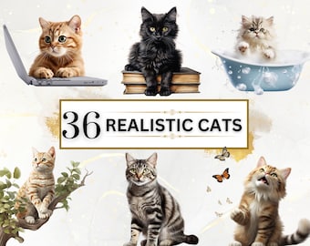Ultra realistische Katzen PNG Bundle - 36 Katzen Clipart PNGs, Katzen Clipart, Tiere Clipart, Aquarell Tiere, sofortiger digitaler Download