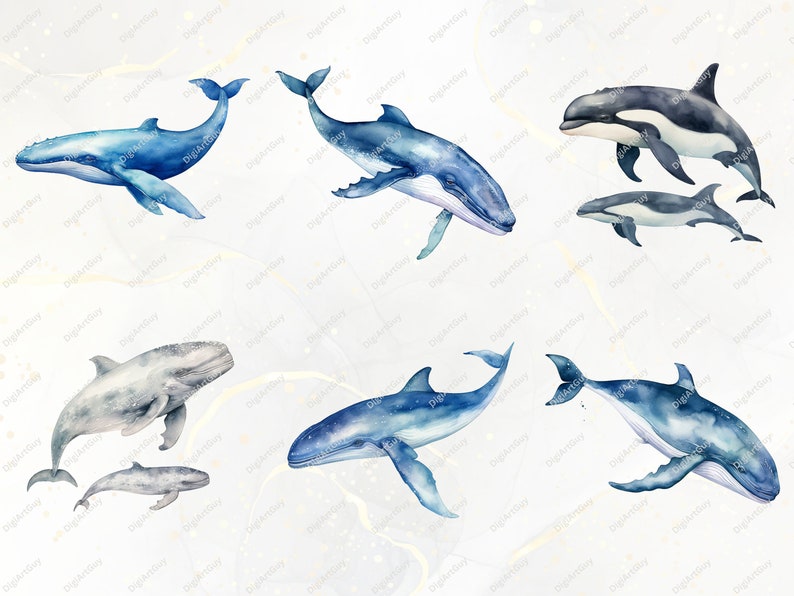 May include: Watercolor illustration of various whales and dolphins. The whales are blue and gray with white spots. The dolphins are black and white. The background is a light blue with white swirls.