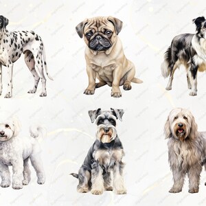Dog Clipart Bundle - 190 Watercolor Dogs Clipart PNG, Dog Breeds PNG ...