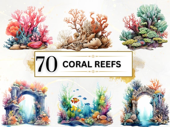Coral Reef Clipart - 70 Sea Coral PNG, Under The Sea PNG, Tropical Reef, Nautical Clipart Ocean Seascape, Sea Life PNG, Junk Journal