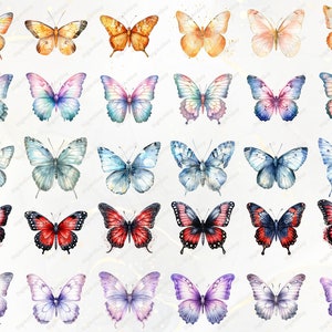 Puede incluir: Una colecci&oacute;n de ilustraciones de mariposas en acuarela en varios colores, incluyendo naranja, rosa, azul, rojo y morado. Cada mariposa tiene patrones de alas detallados y est&aacute; sobre un fondo claro. Las mariposas est&aacute;n dispuestas en filas.