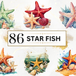 Meerestiere Clipart Bundle - 86 Seestern Clipart, unter dem Meer PNG, süße Meerestiere Clipart, Ozeantiere Clipart, Unterwassertiere PNG