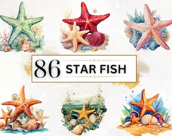 Könnte beinhalten: Ein Set mit 86 Aquarell-Illustrationen von Seesternen in verschiedenen Farben und Designs. Die Seesterne sind von Muscheln und Seegras umgeben. Der Text "86 STAR FISH" ist in einem goldenen Rahmen dargestellt.