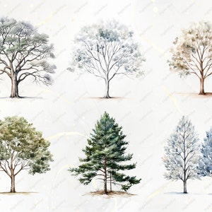 Bomen clipart bundel-60 aquarel winter clipart PNGs, winter PNG, aquarel bomen clipart, winter bomen PNG, Pine Tree clipart, sneeuw PNG afbeelding 7