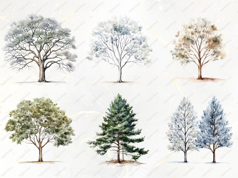 Bomen clipart bundel-60 aquarel winter clipart PNGs, winter PNG, aquarel bomen clipart, winter bomen PNG, Pine Tree clipart, sneeuw PNG afbeelding 7