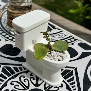 Könnte beinhalten: Ein weißer Miniatur-Toiletten-Pflanztopf mit einer kleinen grünen Sukkulentenpflanze, die darin wächst. Die Toilette steht auf einer schwarz-weiß gemusterten Oberfläche.