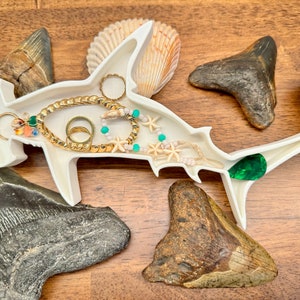 May include: White ceramic hammerhead shark dish with a green gemstone, gold chain, and turquoise and white beaded necklace. The dish is surrounded by fossilized shark teeth and seashells.