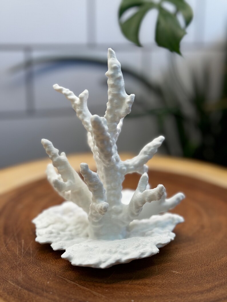 Enchanting Realistic Coral 3D Printed Jewelry Holder: Coastal Decor
