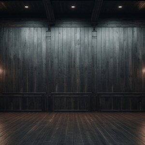 Può includere: Una stanza buia con pareti e pavimento in legno scuro. Le pareti sono rivestite con pannelli di legno scuro e ci sono due lampadari decorativi su entrambi i lati della stanza. La stanza è illuminata da diverse luci sul soffitto.
