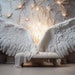 Digital Backdrop Extra Large Angel Wings Set 2! - Etsy
