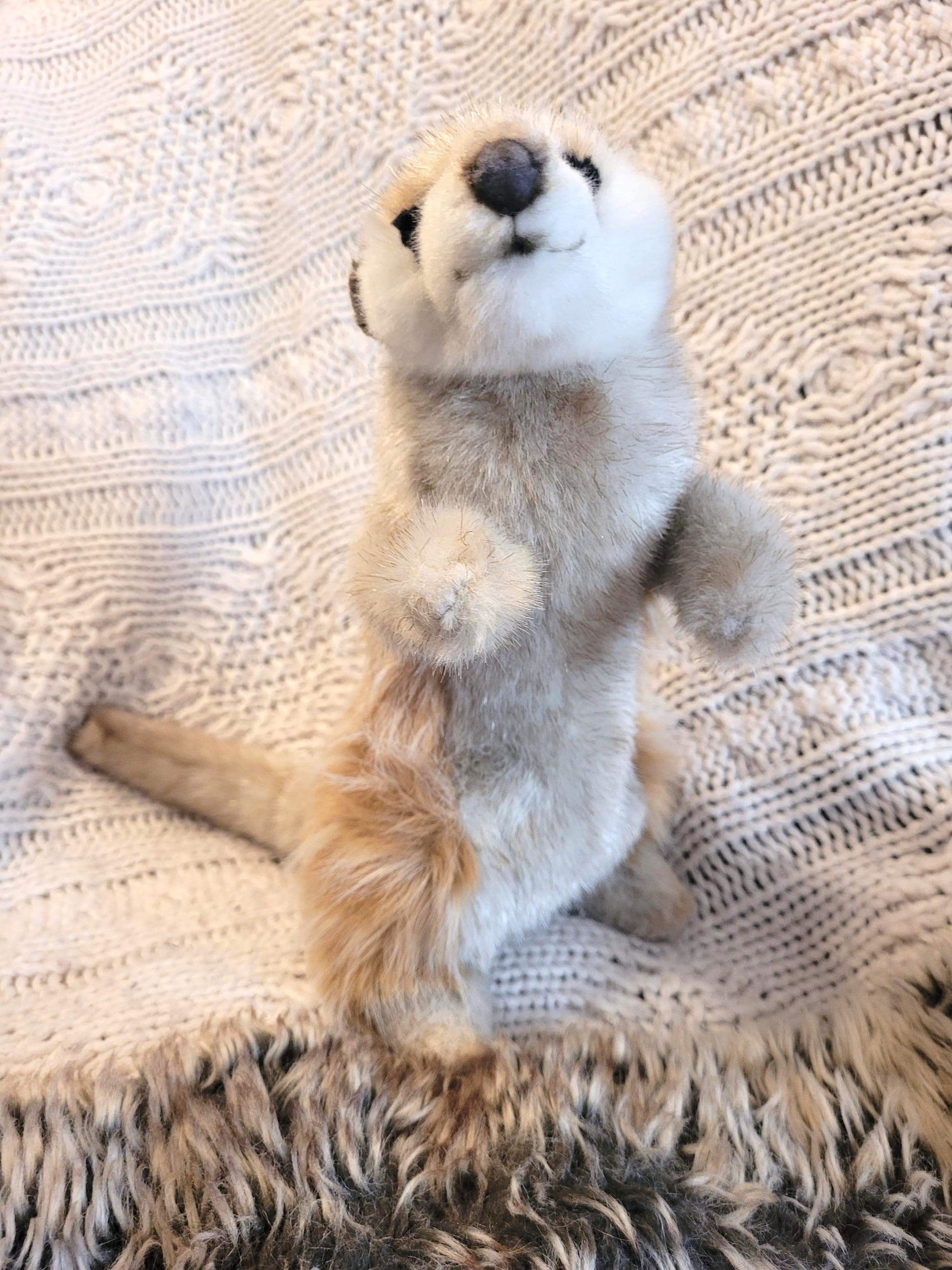 Hansa Creation Seehund Handpuppe - Kuschelig & Handgefertigt, 40cm