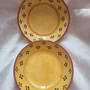 GALLO 『Switch Plantation Sahib』　大皿　5枚 Villeroy and Boch Switch Plantation - Etsy