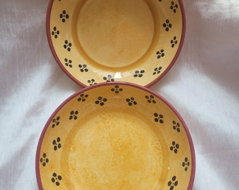 Vintage Villeroy Boch Gallo Switch 5 Plantation Bowl Salad Cereal Dish Plate 2 Piece Set Made in Slovenia Rare Collectible