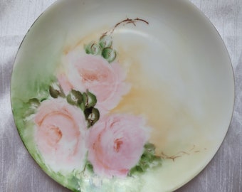 Antique HR Hutschenreuther Selb Porcelain Plate Hand Painted Patel Roses Floral Numbered Made in Bavaria Germany circa 1857-1920