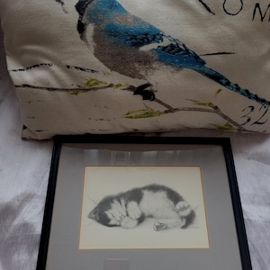 猫絵V.Miller Virginia V Miller Framed Blue Eye Kitten Kitty Cat Lithograph 9 x